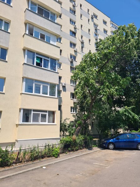 Lacul Tei, Teiul Doamnei vav Parc Tei